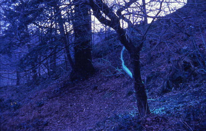 Grizedale