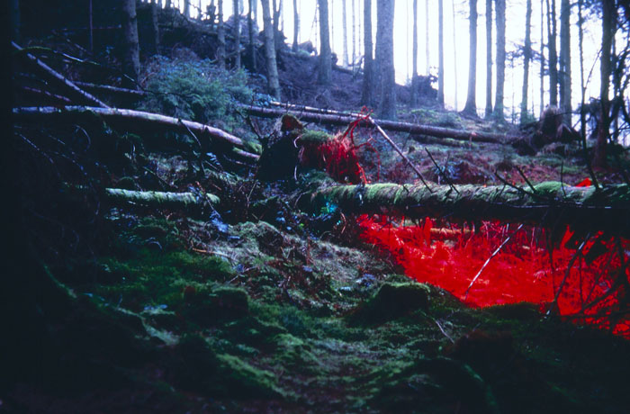 Grizedale