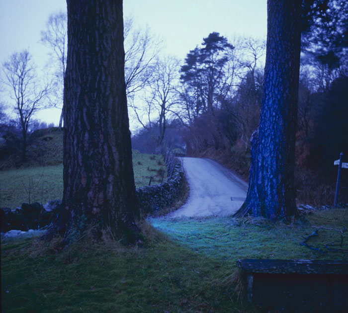 Grizedale