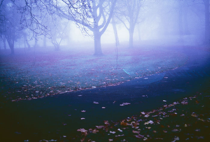 Somanomaneon