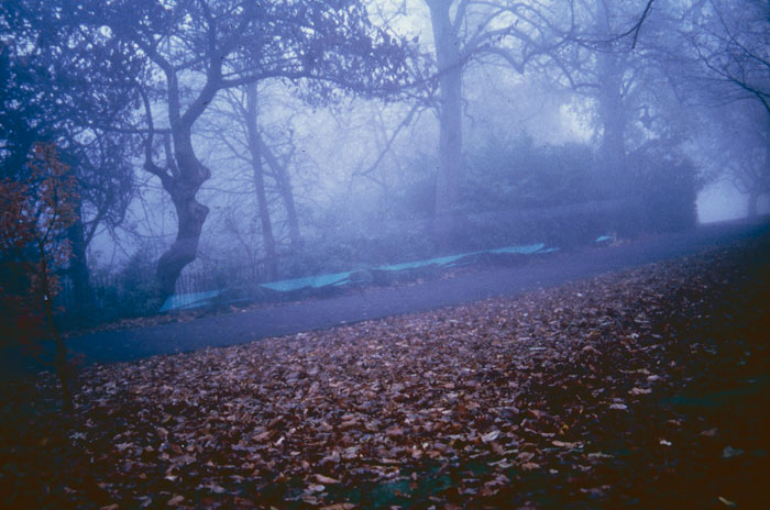 Somanomaneon