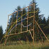 Grizedale