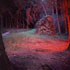 Grizedale